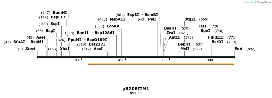 64261_map