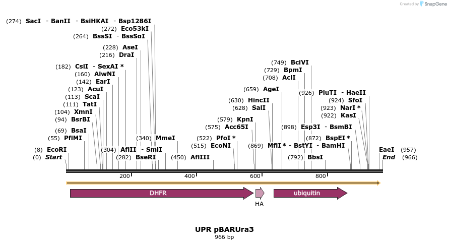 64263_map