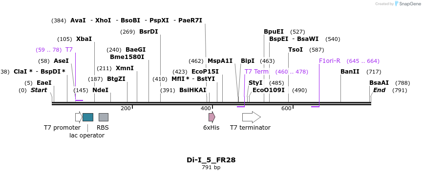 64267_map