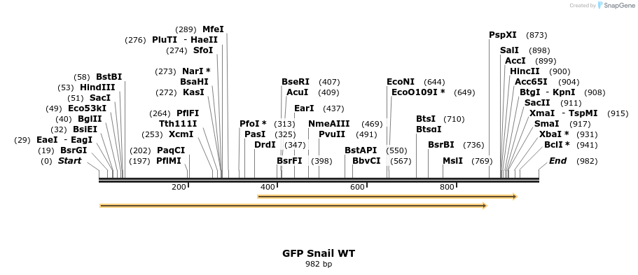 64270_map