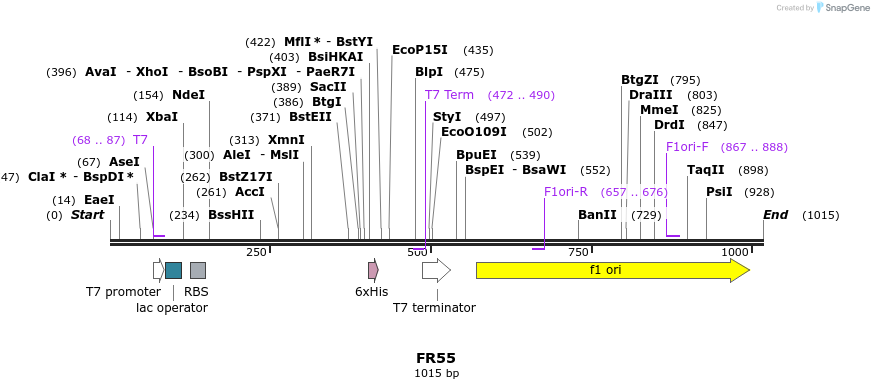 64273_map