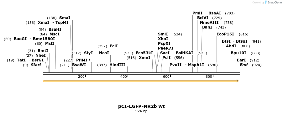 64274_map