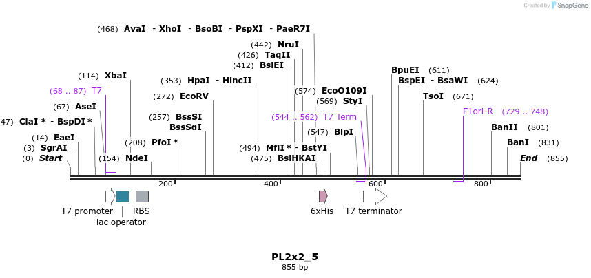 64277_map