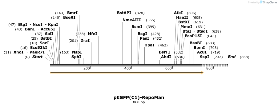 64279_map