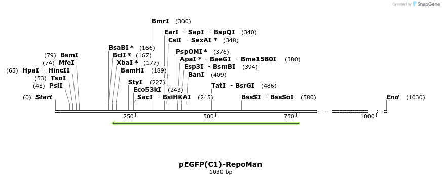 64280_map
