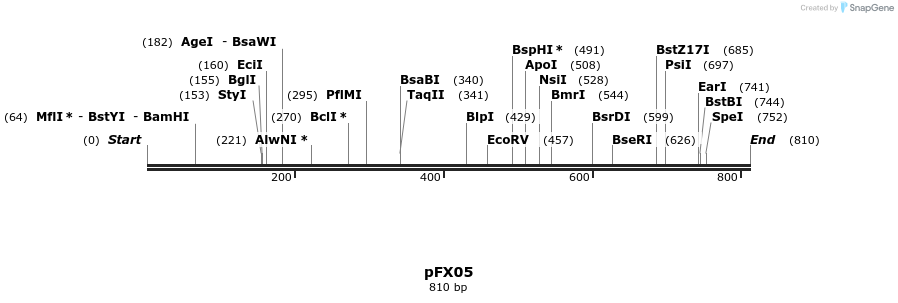 64287_map