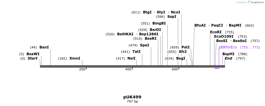 64290_map
