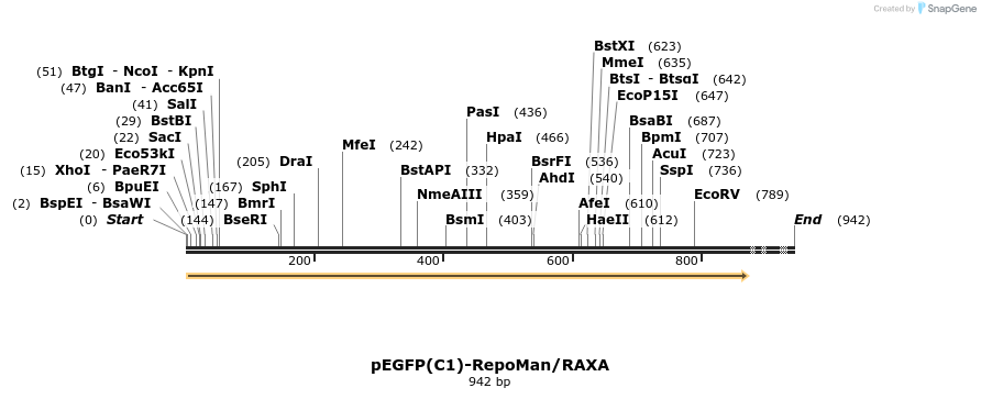 64296_map