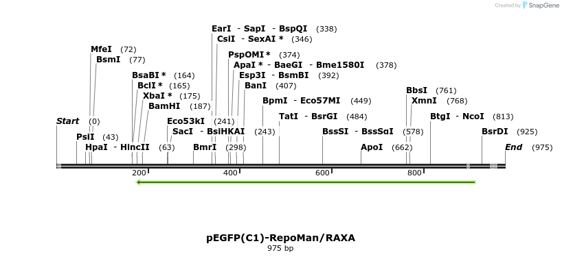 64297_map