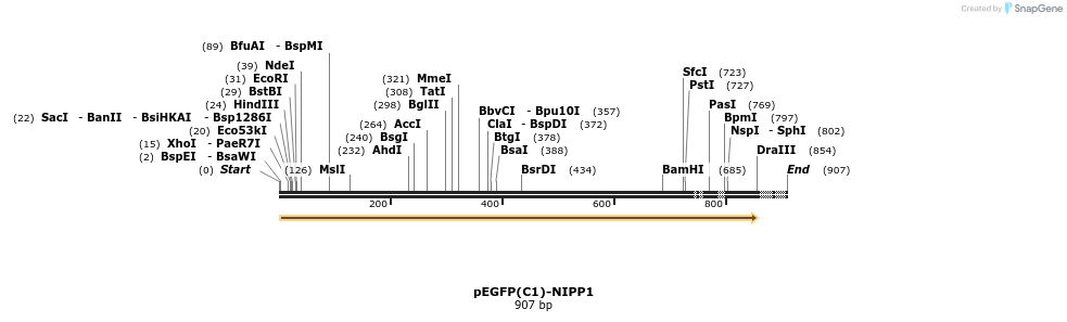 64301_map