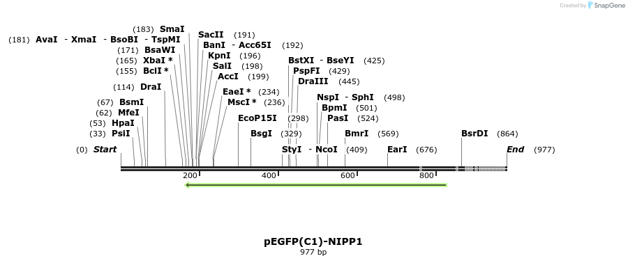 64302_map