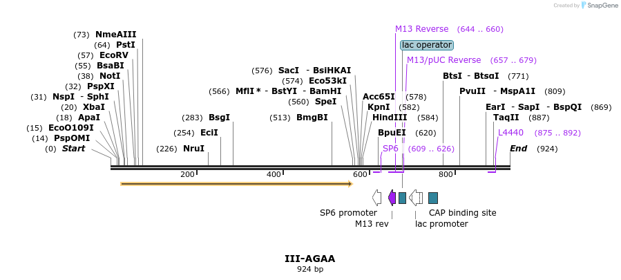 64303_map