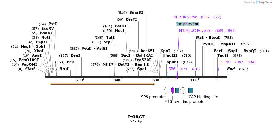 64304_map