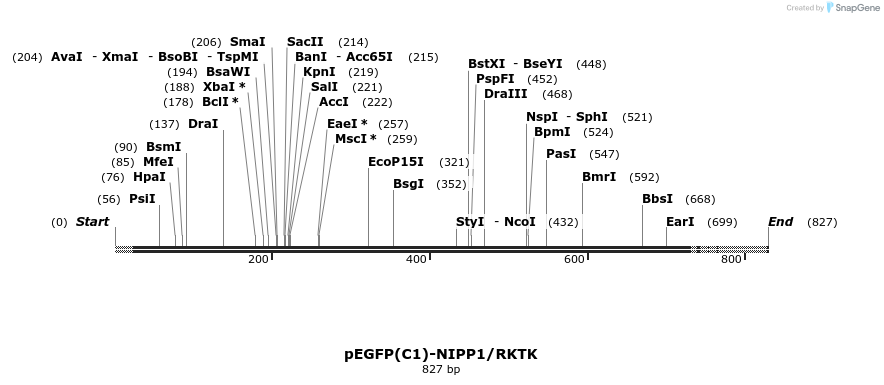 64307_map