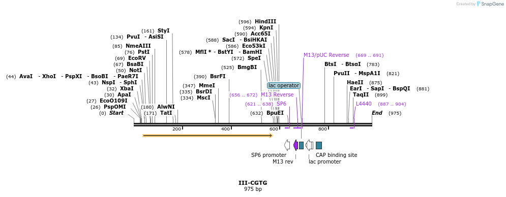 64312_map