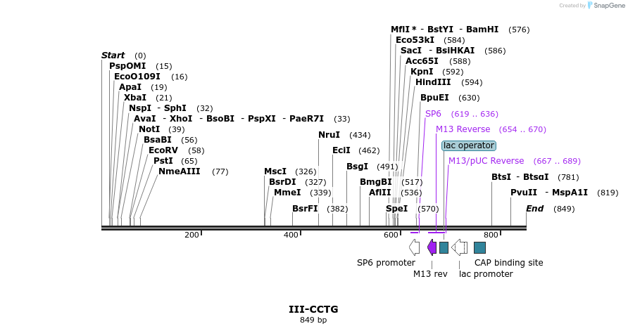 64318_map