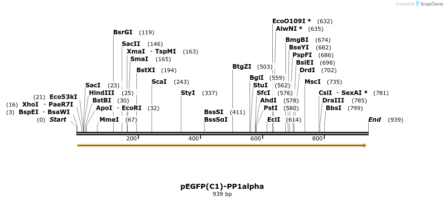 64321_map