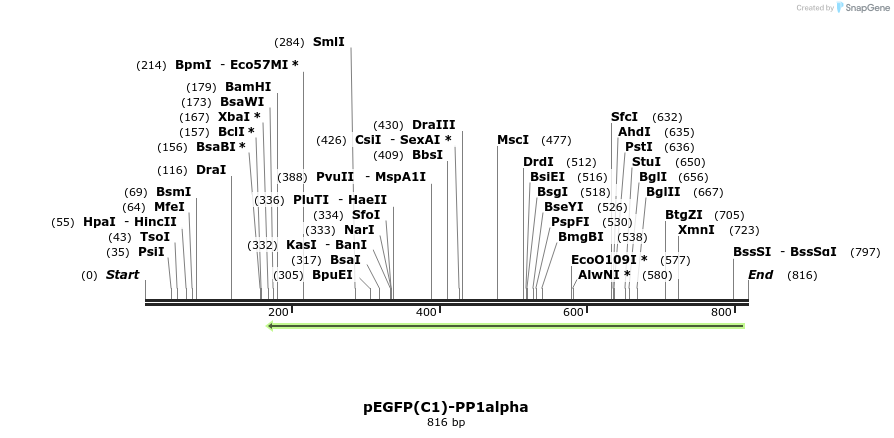 64322_map