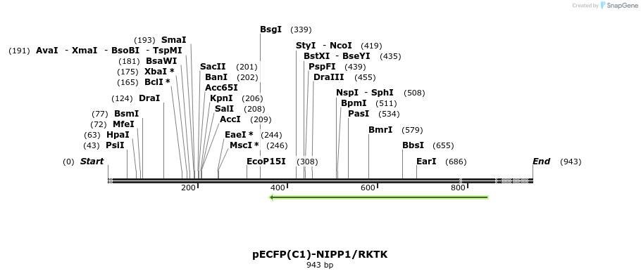 64329_map