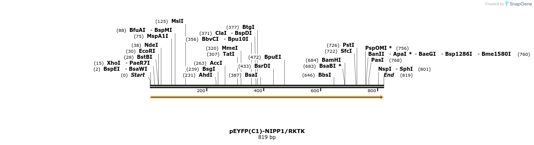 64332_map