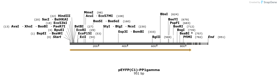 64334_map