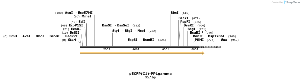 64339_map