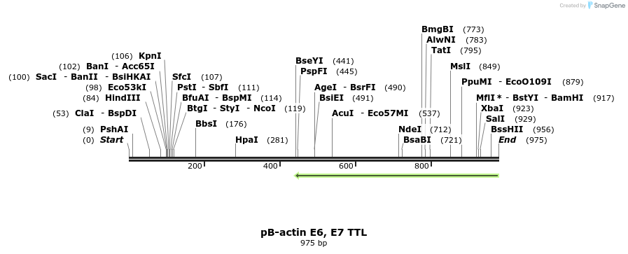 64345_map