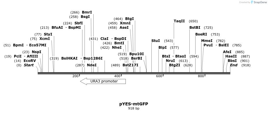 64352_map