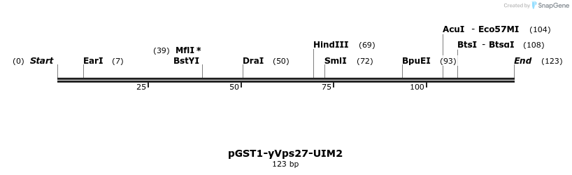 64355_map