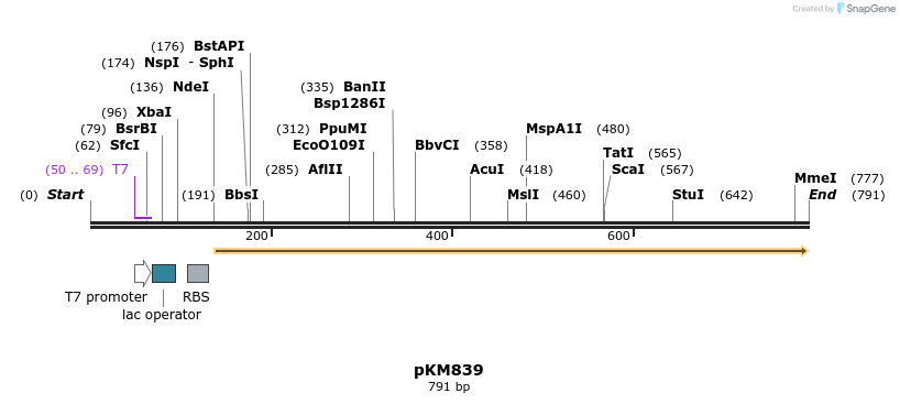 64356_map