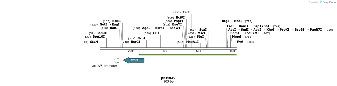 64357_map