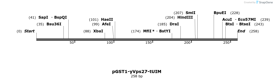 64360_map