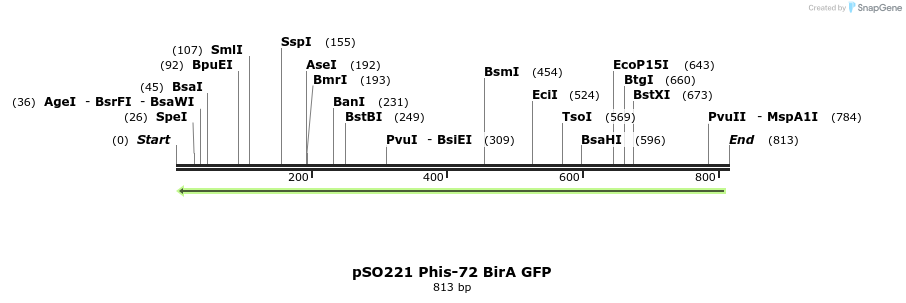 64361_map