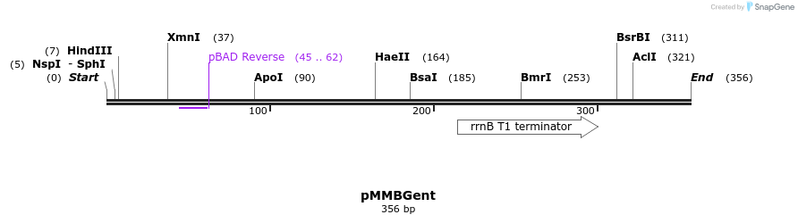 64373_map