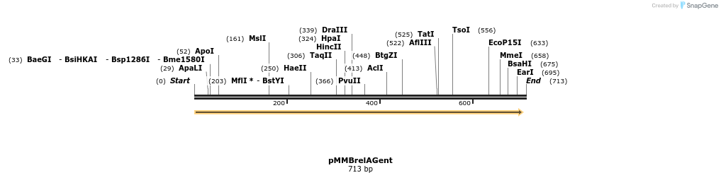 64374_map
