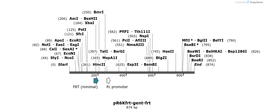 64376_map