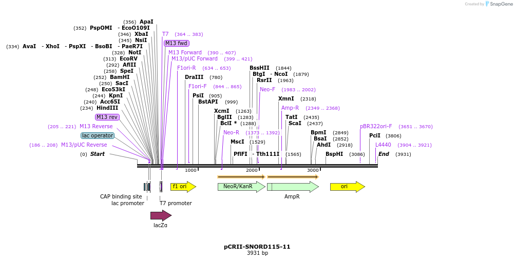 64409_map