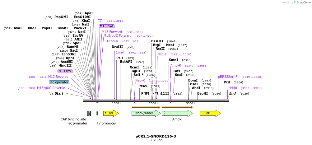 64411_map