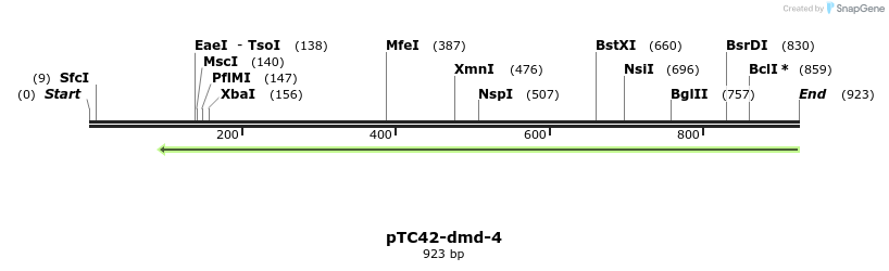 64421_map