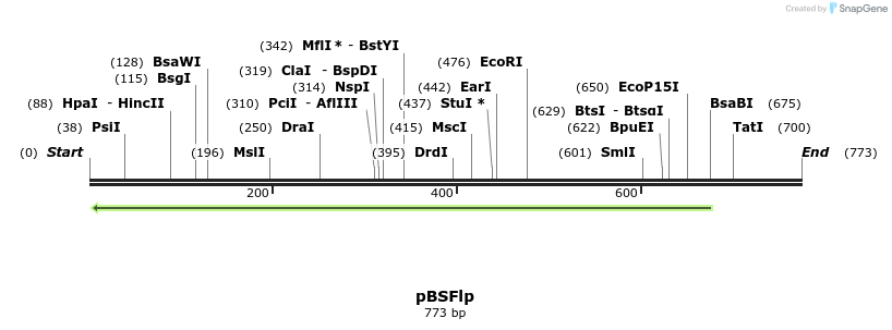 64431_map