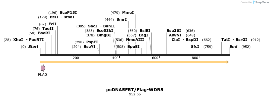 64439_map