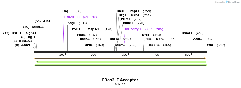 64440_map