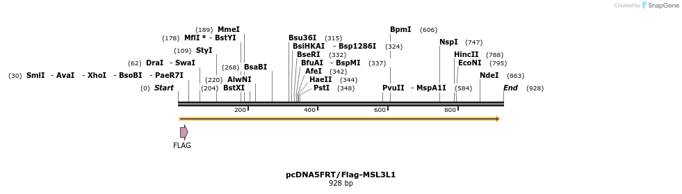 64442_map