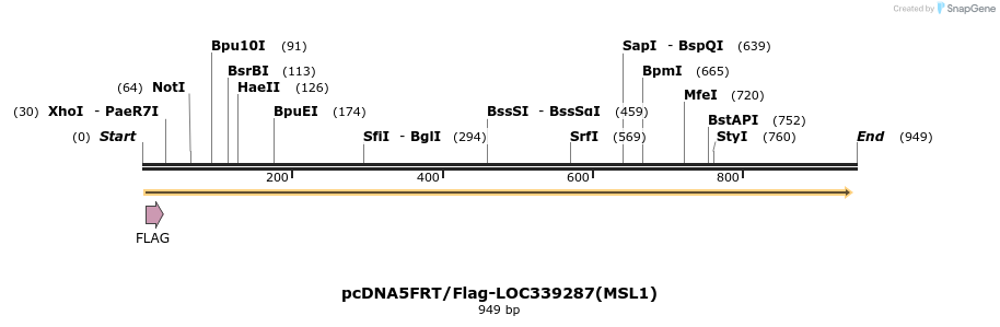 64443_map