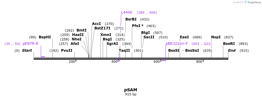 64444_map