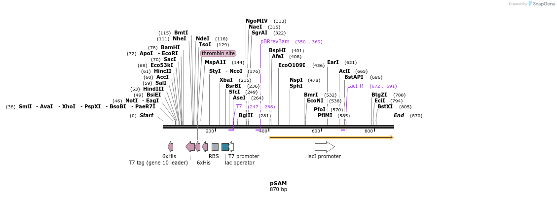 64445_map