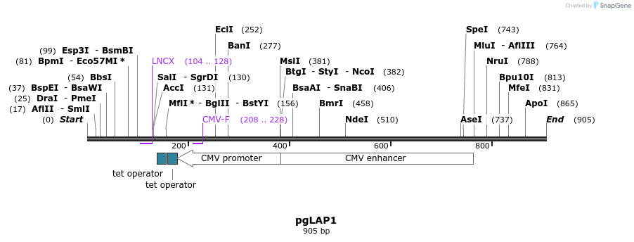64446_map