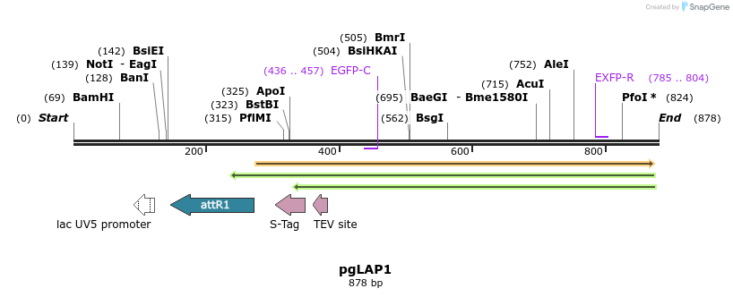 64448_map