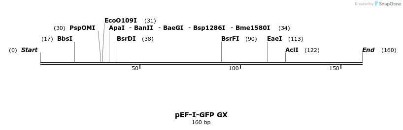 64463_map