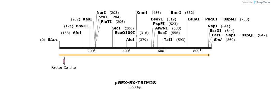 64464_map